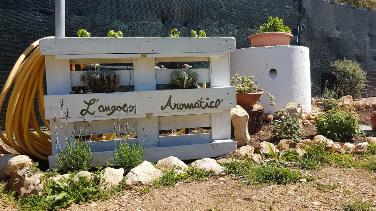 Guesthouse Pintadera Santa Maria la Palma Exterior photo
