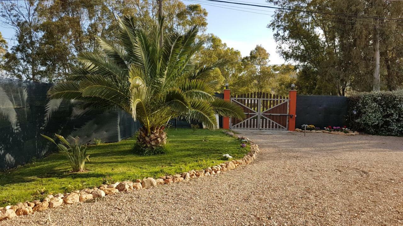 Guesthouse Pintadera Santa Maria la Palma Exterior photo